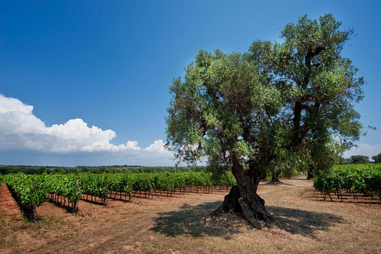 Masseria Le Fabriche Maruggio Luaran gambar