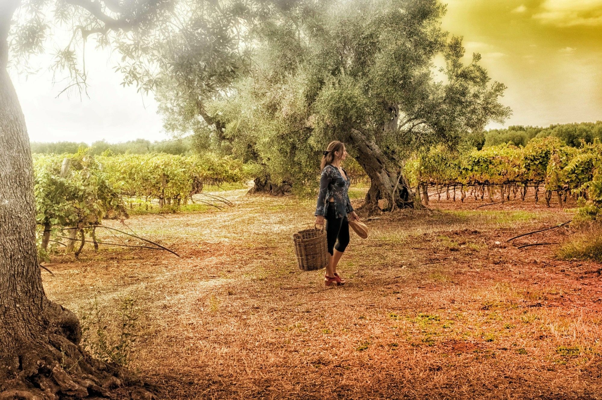 Masseria Le Fabriche Maruggio Luaran gambar